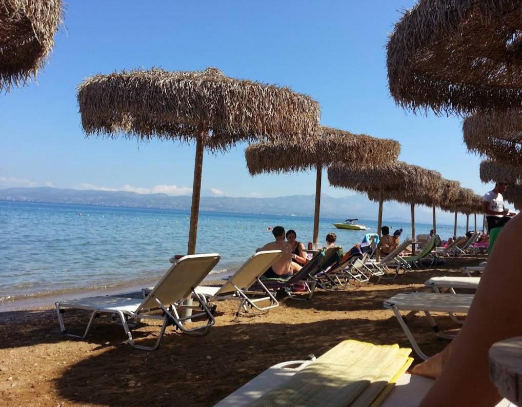 μοντέρνα εξοχική μονοκατοικία με ιδιωτική πισίνα! * Khalkoutsion