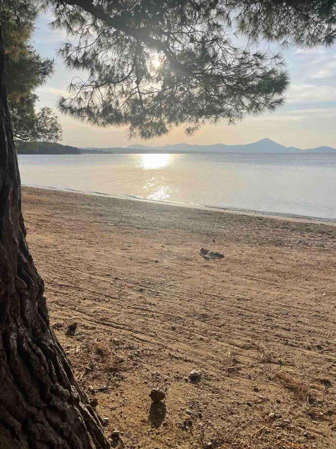 Villa μοντέρνα εξοχική μονοκατοικία με ιδιωτική πισίνα! Khalkoutsion