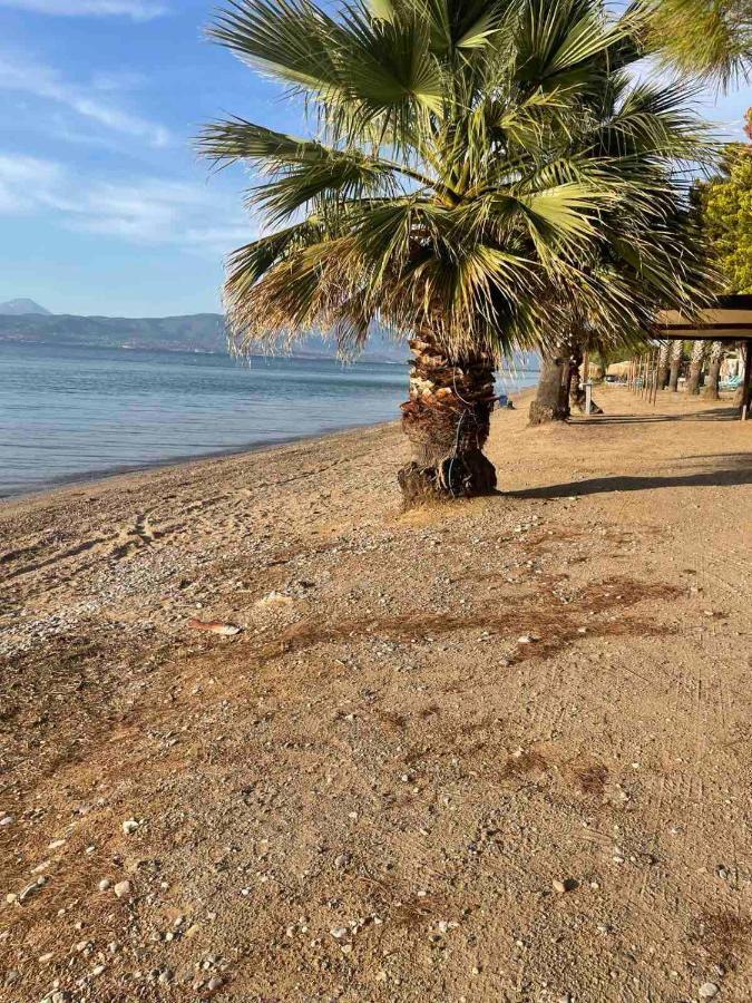 μοντέρνα εξοχική μονοκατοικία με ιδιωτική πισίνα! Villa Khalkoutsion