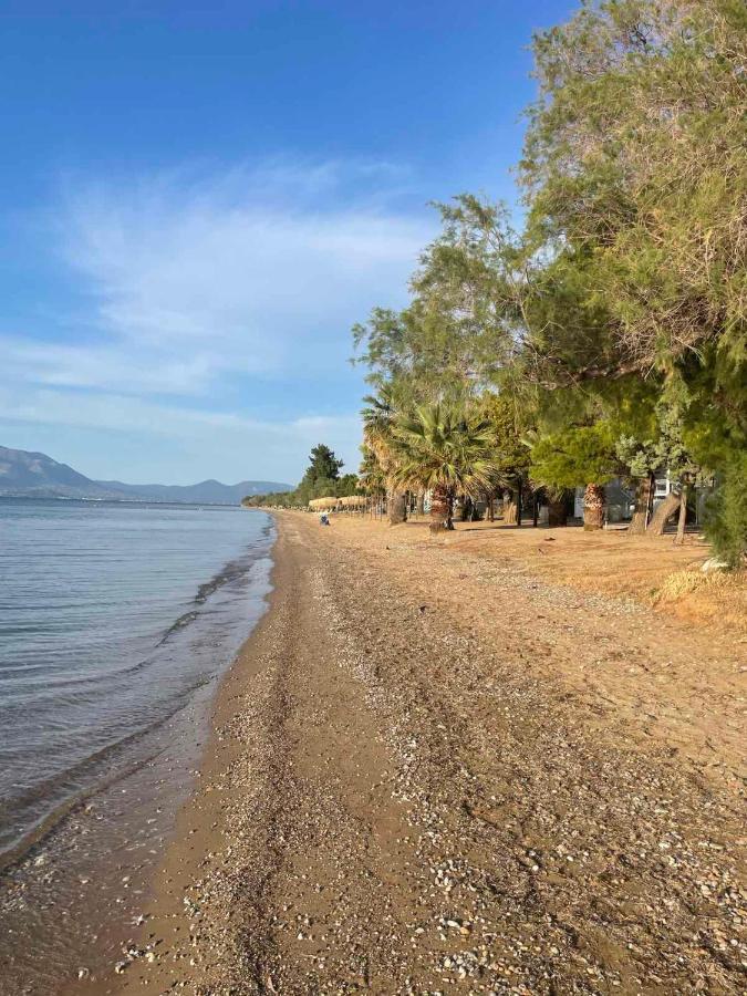 Villa μοντέρνα εξοχική μονοκατοικία με ιδιωτική πισίνα!